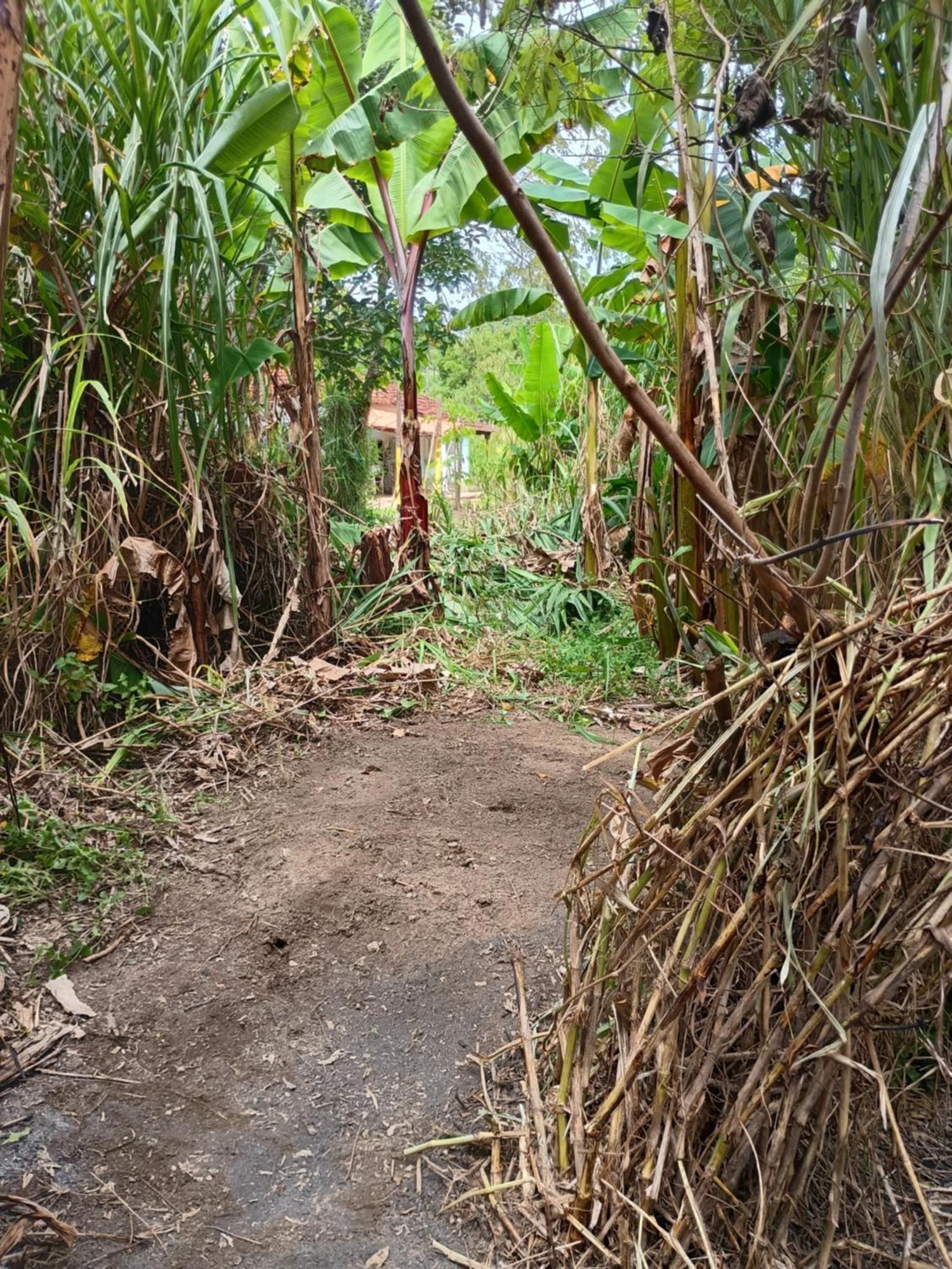 Vila Cantinho Da Paz São Roque Exteriér fotografie